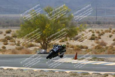 media/Apr-10-2022-SoCal Trackdays (Sun) [[f104b12566]]/Turn 5 Tree of Life (1040am)/